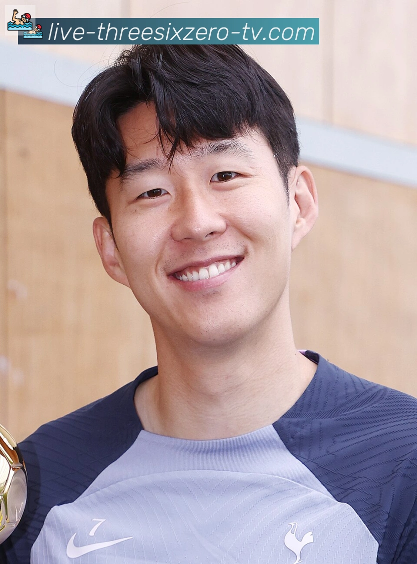 维尼修斯